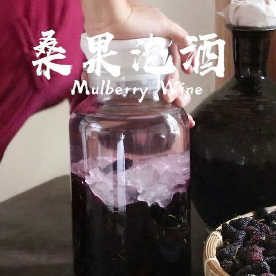 桑葚明升MS88
